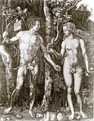 Adán y Eva, después de Albrecht Durer (1471-1528) de Johann Ladenspelder